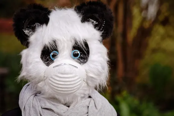 Vegadream Kazino Atbalsts